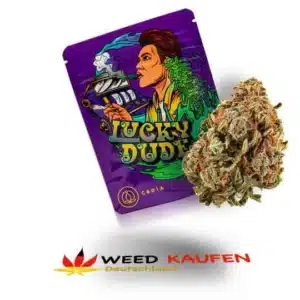 Lucky Dude CBD Blüten